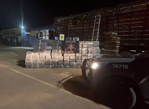 acao-conjunta-apreende-mais-de-2-toneladas-de-maconha-em-itaguaje