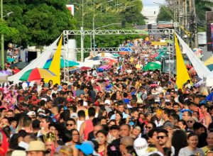 blocos-tradicionais-atraem-os-folioes-em-manaus