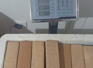 policia-encontra-quase-50-kg-de-maconha-em-quitinete-durante-operacao-com-cao-farejador