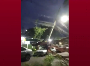 temporal-derruba-arvores-e-causa-estragos-em-foz-do-iguacu