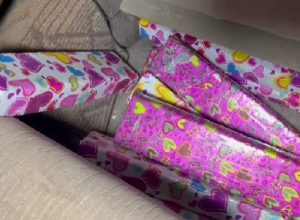 bpfron-apreende-drogas-na-br-277-e-prende-jovem-de-21-anos