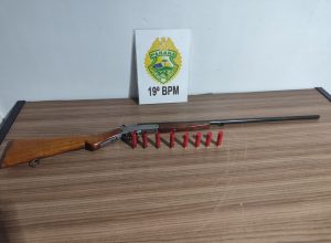 homem-e-preso-por-porte-ilegal-de-arma-no-distrito-de-novo-sarandi-em-toledo