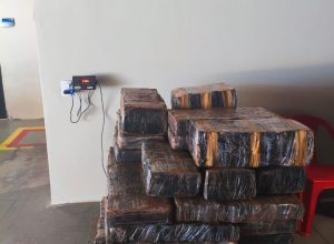 bpfron-e-pf-apreendem-mais-de-500-quilos-de-maconha-em-guaira