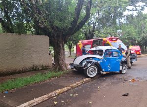 egua-da-pm-e-atropelada-apos-fugir-e-casal-fica-ferido-em-cascavel