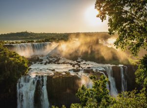 tradicional-feira-do-parque-nacional-do-iguacu-passa-a-ser-realizada-todos-os-sabados-de-2026