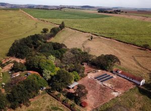 como-a-decisao-do-trf4-protege-produtores-rurais-no-parana?