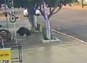 homem-e-assassinado-a-tiros-apos-desentendimento-em-cascavel;-veja-o-video