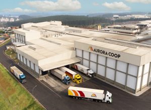 como-agricultores-brasileiros-construiram-gigantes-globais