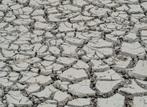 estiagem:-quinze-cidades-tem-situacao-de-emergencia-decretada