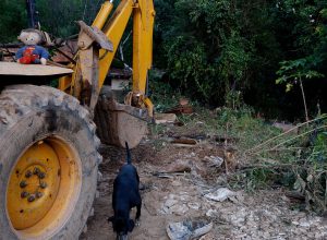 mg:-mais-de-400-produtores-rurais-foram-prejudicados-pelas-chuvas