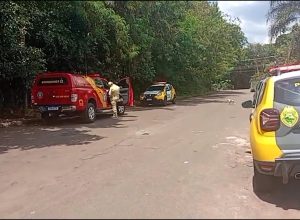 cadaver-e-encontrado-em-area-de-mata-na-regiao-do-lago-em-cascavel