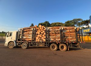 prf-flagra-caminhao-com-15-toneladas-de-excesso-de-carga-e-motorista-com-cnh-suspensa-na-br-277