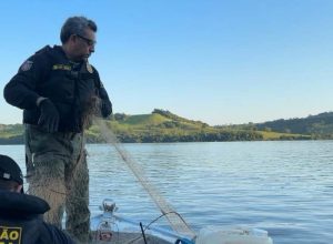 fim-da-piracema-libera-pesca,-mas-fiscalizacao-continua