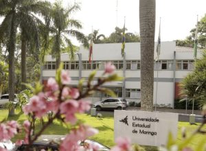 depois-de-santa-catarina,-iniciativa-no-parana-quer-proibir-cotas-em-universidades