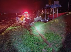 homem-morre-apos-carro-atingir-capivara-e-capotar-na-br-376-em-maringa