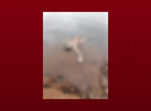 corpo-de-banhista-que-desapareceu-no-rio-piquiri-em-formosa-do-oeste-e-encontrado