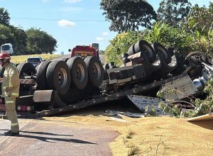 caminhao-capota-na-br-163-e-motorista-e-atacado-por-abelhas
