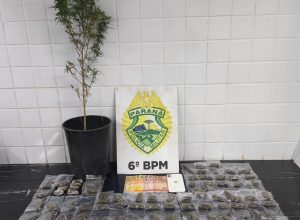 casal-e-preso-por-trafico-de-drogas-durante-acao-do-canil-da-pm-em-cascavel