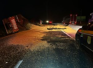 caminhao-tomba-e-espalha-50-toneladas-de-soja-na-br-376-em-palmeira