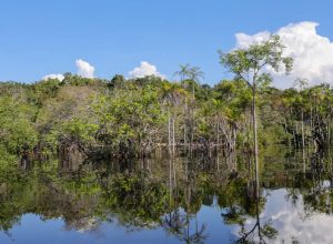 governo-levantou-r$-179-bi-desde-2023-para-transicao-ecologica