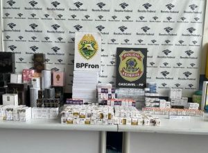 bpfron-e-policia-federal-apreendem-r$-2,1-milhoes-em-medicamentos-e-anabolizantes-na-br-277