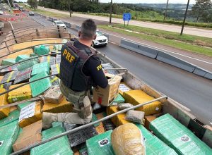 prf-apreende-grande-quantidade-de-maconha-na-br-163-em-lindoeste