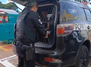 delegado-fala-de-prisao-de-homem-acusado-de-matar-gari-em-foz-do-iguacu