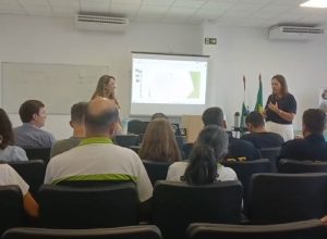 transito-violento:-cascavel-registra-17-mortes-e-mobiliza-acoes-emergenciais