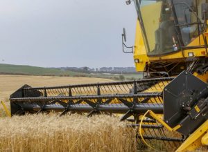 impactos-do-fim-da-escala-6×1-preocupam-agro-do-parana-e-acendem-alerta-nacional