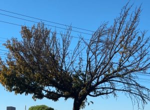 outono-comeca-e-traz-mudanca-no-clima-apos-verao-seco-no-parana