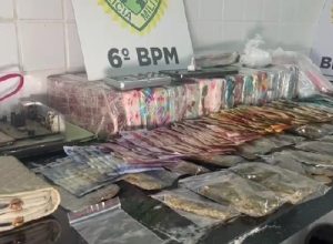 acao-da-cavalaria-da-pm-apreende-drogas-e-detem-duas-mulheres-no-jardim-melissa