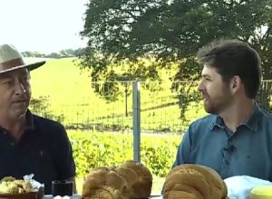 cafe-com-ph-destaca-historia-de-produtor-de-porto-barreiro-marcada-por-legado-e-amor-ao-campo