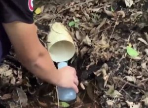 alunos-de-cascavel-realizam-coleta-em-nascente-celebrando-o-dia-mundial-da-agua