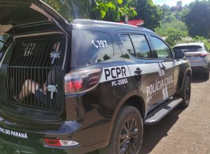 suspeito-de-feminicidio-no-bairro-universitario-e-preso-pela-dh