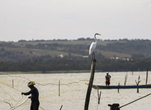 sexto-lote-do-seguro-defeso-sera-disponibilizado-na-terca-feira