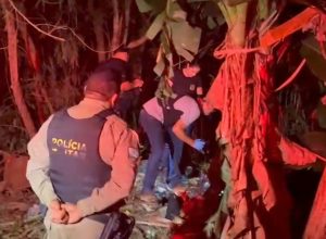 corpo-carbonizado-e-encontrado-em-meio-a-area-de-mata-no-conjunto-bubas,-em-foz-do-iguacu