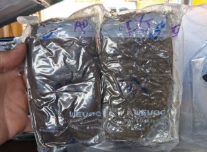 prf-apreende-56-kg-de-haxixe-escondidos-no-teto-de-veiculo-na-br-369,-em-cascavel