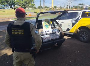 motorista-foge-da-policia-e-abandona-carro-com-cigarros-contrabandeados-na-pr-486
