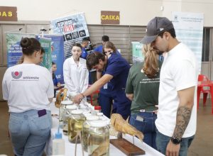 sema-nos-bairros-chega-a-segunda-edicao-com-acoes-no-morumbi,-em-cascavel