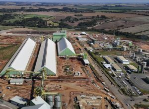 grupo-potencial-anuncia-r$-6-bilhoes-em-biocombustiveis-em-meio-a-crise-de-diesel