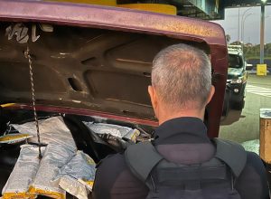 prf-apreende-agrotoxicos-contrabandeados-ocultos-em-motor-de-caminhonete-na-br-163