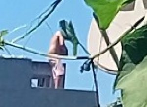 homem-em-surto-mobiliza-equipes-e-e-contido-apos-subir-em-telhado-de-residencia