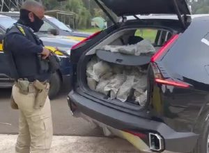 prf-apreende-mais-de-200-quilos-de-maconha-durante-fiscalizacao-na-br-277,-em-guarapuava