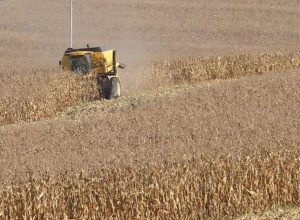 estiagem-atinge-11-cidades-e-provoca-prejuizo-de-r$-438-milhoes-no-pr