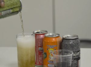 fatores-sociais-empurram-familias-para-ultraprocessados,-diz-pesquisa