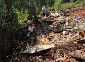 pf-e-pm-flagram-crime-ambiental-proximo-ao-rio-parana,-em-foz-do-iguacu