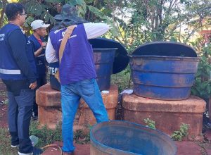 chikungunya:-ministro-classifica-como-critica-situacao-em-dourados