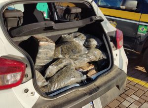 prf-apreende-cerca-de-80-kg-de-maconha-e-prende-motorista-na-br-277,-em-ceu-azul