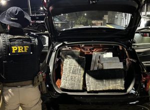 prf-apreende-mais-de-150-quilos-de-maconha-na-br-277,-em-guarapuava