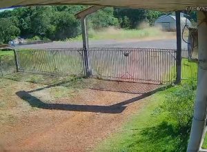 cameras-registram-novo-capotamento-na-ponte-do-rio-do-oeste-na-pr-180,-em-cascavel